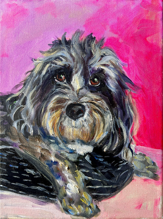 Nellie the Cavapoo commission