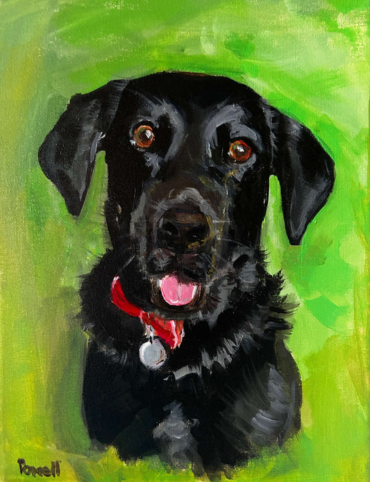 Custom pet portrait of a black Labrador painted by Margaret Powell, Worcester Artist