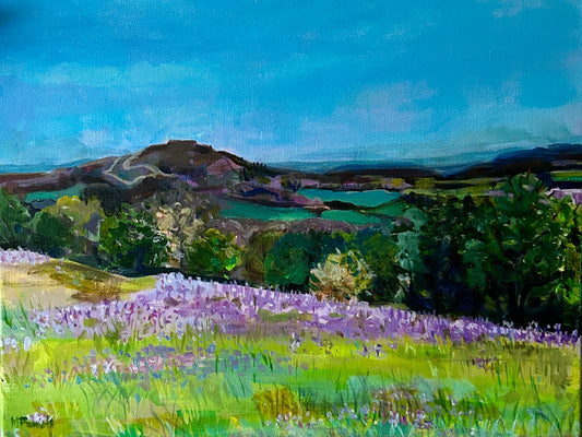 Original painting of bluebells on the Malvern Hills by Worcestershire artist Margaret Powell.