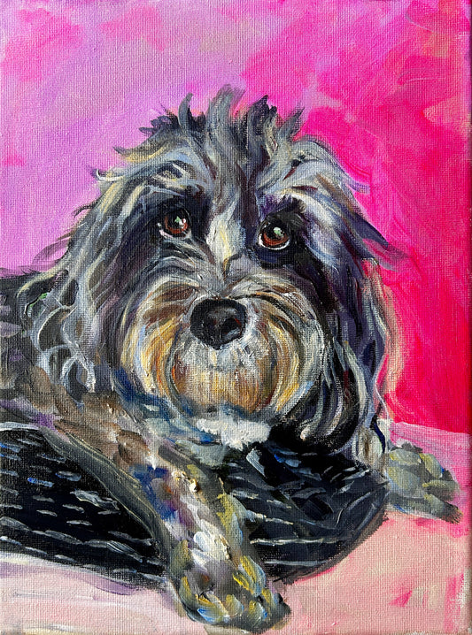 Cavapoo custom pet portrait commission on pink background by Eorcestershire artist Margaret Powell